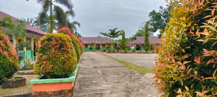 Terus Percantik Taman, MAN 2 Tebo :  Dukung Program Kemenag ASRI (Aman, Sejuk, Rindang, dan Indah ).